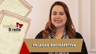 Explica Direito Filiação Socioafetiva  2019 [upl. by Suilenrac]