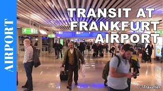 TRANSIT WALK AT FRANKFURT Airport FRA Terminal 1  Connection Flight Transfer Arriving amp Departing [upl. by Akym]